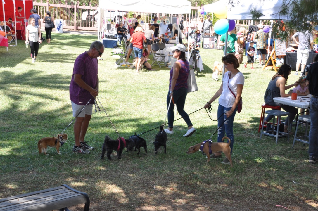 2017 Furry Friends Fine Arts Festival Fabulous!