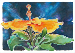 Watercolor for adults, all levels, Wednesdays, 7-9 pm - Echo Art Studio