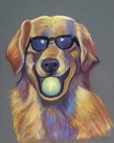 Furry Friends Fine Arts Festival Preview – Week 5